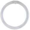 3286T Circular Neon Bulb, 32 W, T9, G10Q, 6500 K