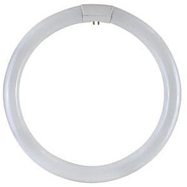 3286T Circular Neon Bulb, 32 W, T9, G10Q, 6500 K