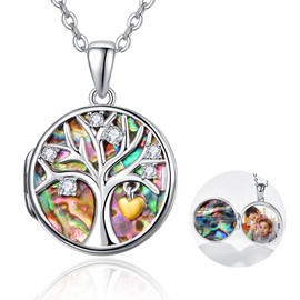 TANGPOET Photo Locket Necklace 925 Sterling Silver Pictures Locket for Opening Pendant Jewellery Gifts for Women Girls Family, Sterling Silver, Cubic Zirconia