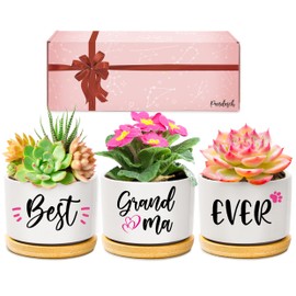 Grandma Gifts, Grandma Christmas Birthday Gifts, Best Grandma Ever Succulent Pots Gifts for Grandma from Grandchildren, Great Presents for Grandma on Christmas Birthday Mother's Day