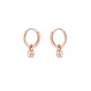Ted Baker Sinalaa Crystal Huggie Hoop Earrings For Women (Rose