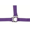 HKM Stars 558526 Headcollar Thoroughbred Dark Blue