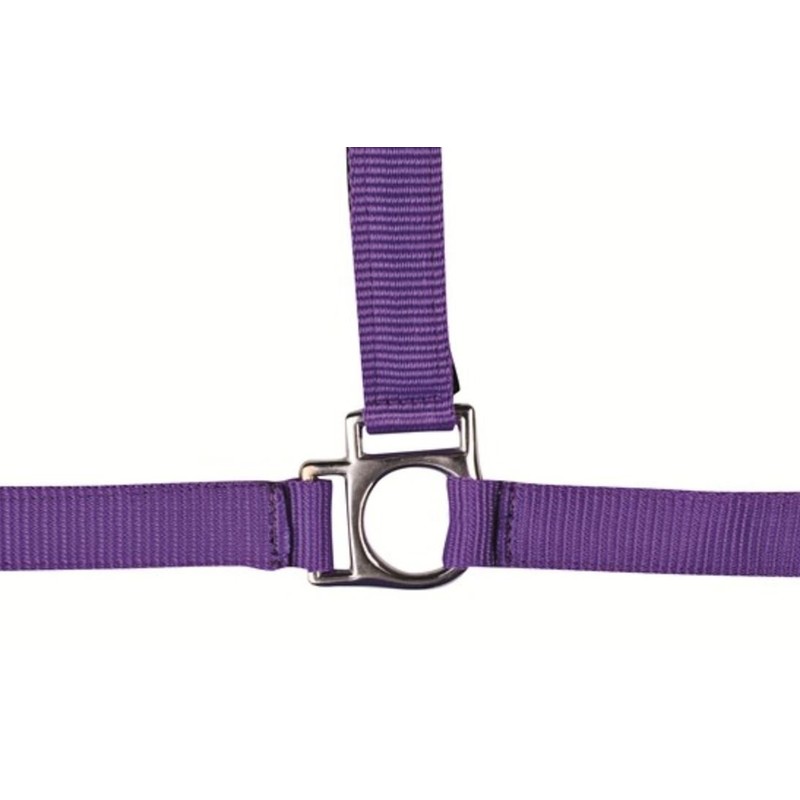 HKM Stars 558526 Headcollar Thoroughbred Dark Blue