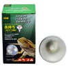 Zensui Strong Basking Spotlamp 20W 1pc (x1)