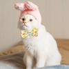 Easter Cat Collar with Bow Tie 2Pack Adjustable Breakaway Safety