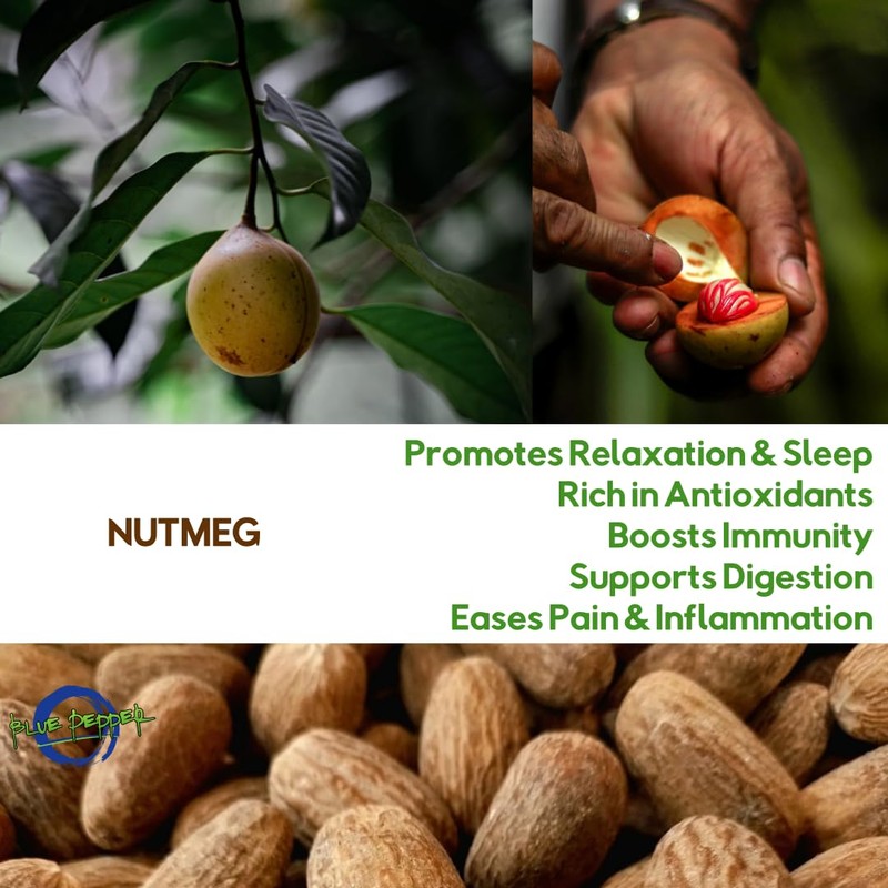 Clove Impact - Tea Infusions by Blue Pepper