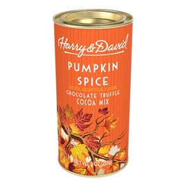 Harry & David Pumpkin Spice Chocolate Truffle Cocoa Mix, 9 Ounce