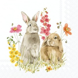 IHR Ideal Home Range Cocktail Napkins Disposable 3-Ply Paper Party Napkin Pack, 5" x 5", Hop On Spring, 20-Count