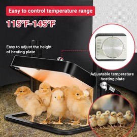 FAMIROSA Brooder Box for Chicks Starter Kit, Pop up and Breathable Chicken Brooders, Collapsible Brooding Box/Playpen with 10 x 10in Brooder Plate, Chicken Waterer, Feeder, Perch for Duck, Quail