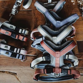 HUNTER Neoprene Vario Plus Dog Collar Matcha/Grey Durable Nylon Soft Neoprene Padding Fully Adjustable with Strain Relief Easy Care Comfortable Size S / 1.5