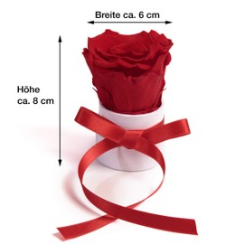 ROSEMARIE SCHULZ Heidelberg Kleine Rosenbox weiß rund Infinity Rose - Blumenbox 1 konservierte Rose (Weiß-Rot)