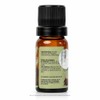 PACALLI Aceite Esencial de Romero 100% Puro 10ml - Aromaterapia