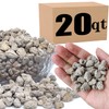 Horticultural Pumice for Plants Professional Sifted (20QT, 1/2 inch)