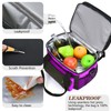 LOKASS Lunch Box for Women/Men-16L-Insulated Lunch Bag, Expandable Double-layer Leakproof