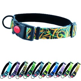 Fluoreszierendes Halsband Hund Gurt 25mm Breit Große Hunde, Hundehalsband Mittelgroße Hundehalsband Hundehalsband Verstellbar Dynamic Glow Series (Halsumfang 46-64cm, Leafy Loops)