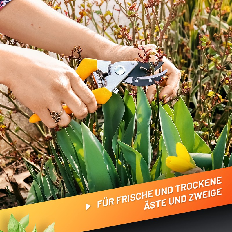 GRÜNTEK Secateurs, Garden Pruning Shears F1, SK5 Blade 48 mm,