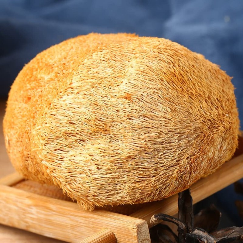Hericium Erinaceus Organic Wild Lions Mane Mushroom HOU TOU Gu