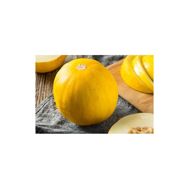 Does Not Apply Canary Melon Seeds Cucumis melo Non-GMO, Shipped
