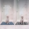 Furbedz Tapete para Perro, Absorbente, Atrapa Agua, Tierra y Suciedad