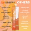 310 Nutrition Polvo de Electrolitos Sin Azúcar Sugar-Free Electrolyte Hydration
