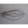Dried Corkscrew Willow Branch Ends, 10"-14" length, for Crafts and