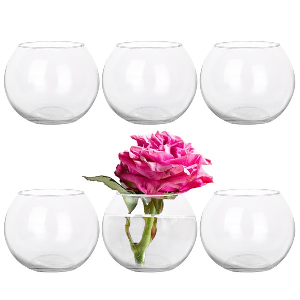 HWASHIN Set of 6 Clear Glass Vases, 4.7” W x