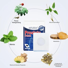 Cerotti prostatici - 6 cerotti per la prostata secondo TCM assemblati con Panax Notoginseng Rabarbaro Cortex Phellodendri Rhizoma Zingiberis menta
