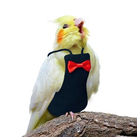 XQIGI Bird Diaper Washable Reusable Parrot Flight Suit Nappies Protective Breathable Parrot Nappy Clothes for Parakeet, Macaw, Budgie, Canary, Cockatiel (Black, Large)