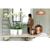 elho Brussels Diamond Orchid High 12.5 - Flower Pot for