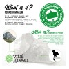 Vital Green Desodorante de Cristal Natural | Elimina el Olor,