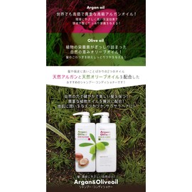 Beaua Argan and Olive Oil Shampoo, 18.6 fl oz (550 ml)