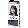 Liese Pretty Bubble Color Hair Color Back Black