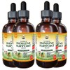 Natural Immune Support Supplement. Tincture of: Quina, OSHA, Echinacea, Lomatium, Forsythia, Cat's Claw, PAU d’Arco, Turmeric, Umckaloabo, Ginseng, Bupleurum and Other Herbs 4x4 oz