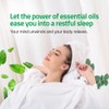 Shower Steamers Aromatherapy - Eucalyptus & Mint - 15 Pack