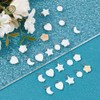 SUPERFINDINGS 40Pcs 5 Styles Shell Pendants Natural Shells Charms Sea