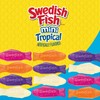 SWEDISH FISH Mini Tropical Soft & Chewy Candy, 12 -