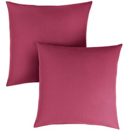 Sorra Home x Sunbrella - Square Pillows (Set of 2), Canvas Hot Pink