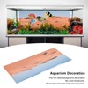 Aquarium Poster PVC Self Adhesive Waterproof 3D Desert Style Fish