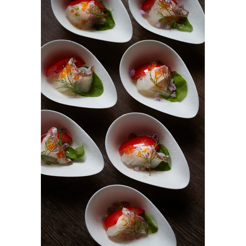 WASARA Fashionable Paper Plates with Small Size, Professional Use, 50
