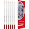 Pepy Professional White Charcoal Pencil Set – Set of 6
