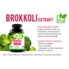 Mein Vita Broccoli Extract 1000 mg (Daily Serving – Hochdosiert – 100% Vegan Capsules – Pack of