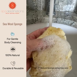 Spa Destinations Natural Sea Wool Sponge 6-7" Natural Renewable Resource