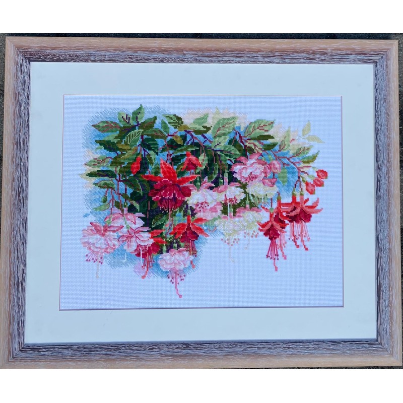 Riolis Stickbildset, Kreuzstich, Motiv Fuchsien, Mittel, Weiß