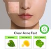Abib [Abib]Heartleaf Calming Spot Patch 78pcs