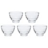 HARIO HU-3012 Heat Resistant Glass Cups, Set of 5, Microwave,