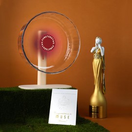 Super Silent Hamster Wheel 12 Inch, Magnetic Large Rat Wheel for Chinchilla, Gerbil, Guinea Pig, Cat, Mouse, Sugar Glider and Dwarf, Syrian Hamster Accessories (Tomato Red)