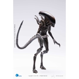 Hiya Toys Alien: Resurrection Lead Alien Warrior 1:18 Scale Action Figure, Multicolor