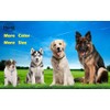 Hicost Heavy Chain Dog Metal Collars, Adjustable Weather Proof Alloy