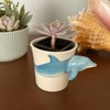 Dolphin Coffee Mug with 3D Handle – Ceramic Dolphin Cup,