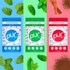 PUR Gum | Aspartame Free Chewing Gum | 100% Xylitol